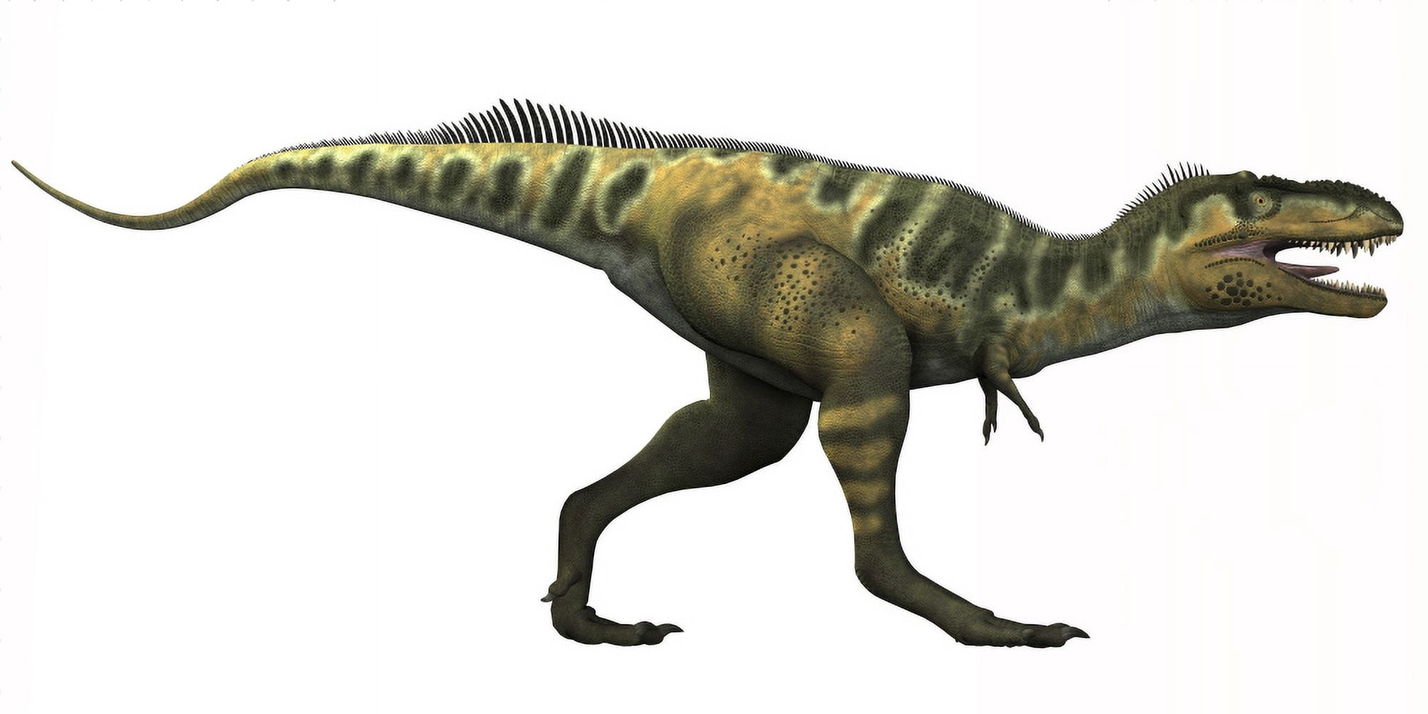 Bistahieversor dinosaur Canvas Art - Corey FordStocktrek Images (20 x 10)
