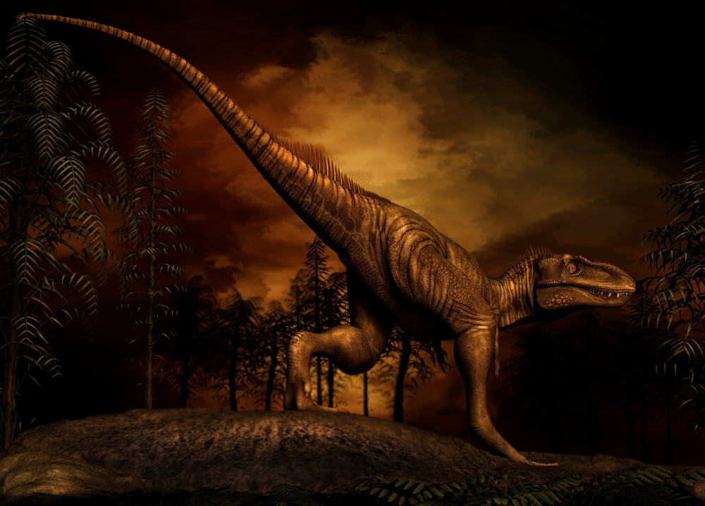 Bistahieversor was a tyrannosaurid dinosaur from the Late Cretaceous Period Canvas Art - Philip BrownlowStocktrek Images (17 x 12)