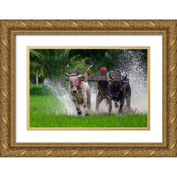 Biswas, Kuntal 32x23 Gold Ornate Wood Framed with Double Matting Museum Art Print Titled - Moichara Cattle Race FestIVal