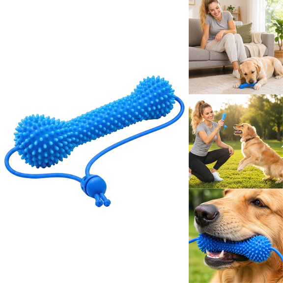Bite & Brush Dog Dental Toy, Durable Plastic Teeth Brushing Chew Stick for Small, Medium and Large Dogs Daily Oral Care, 1pc