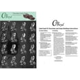 thumbnail image 1 of Bite Size Long Earred Bunny Chocolate Candy Mold with Exclusive Cybrtrayd Copyrighted Molding Instructions, 1 of 1