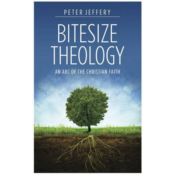 Pre-Owned Bitesize Theology (Revised 2014) (Paperback) 0852344473 9780852344477