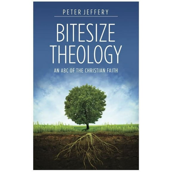 Bitesize Theology (Revised 2014) (Paperback)