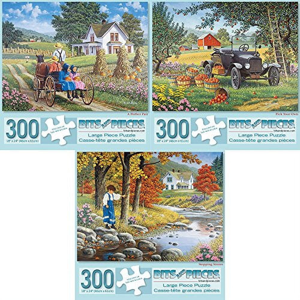 Bits and Pieces Set of Three 300 Piece Jigsaw Puzzles Perfect Pair