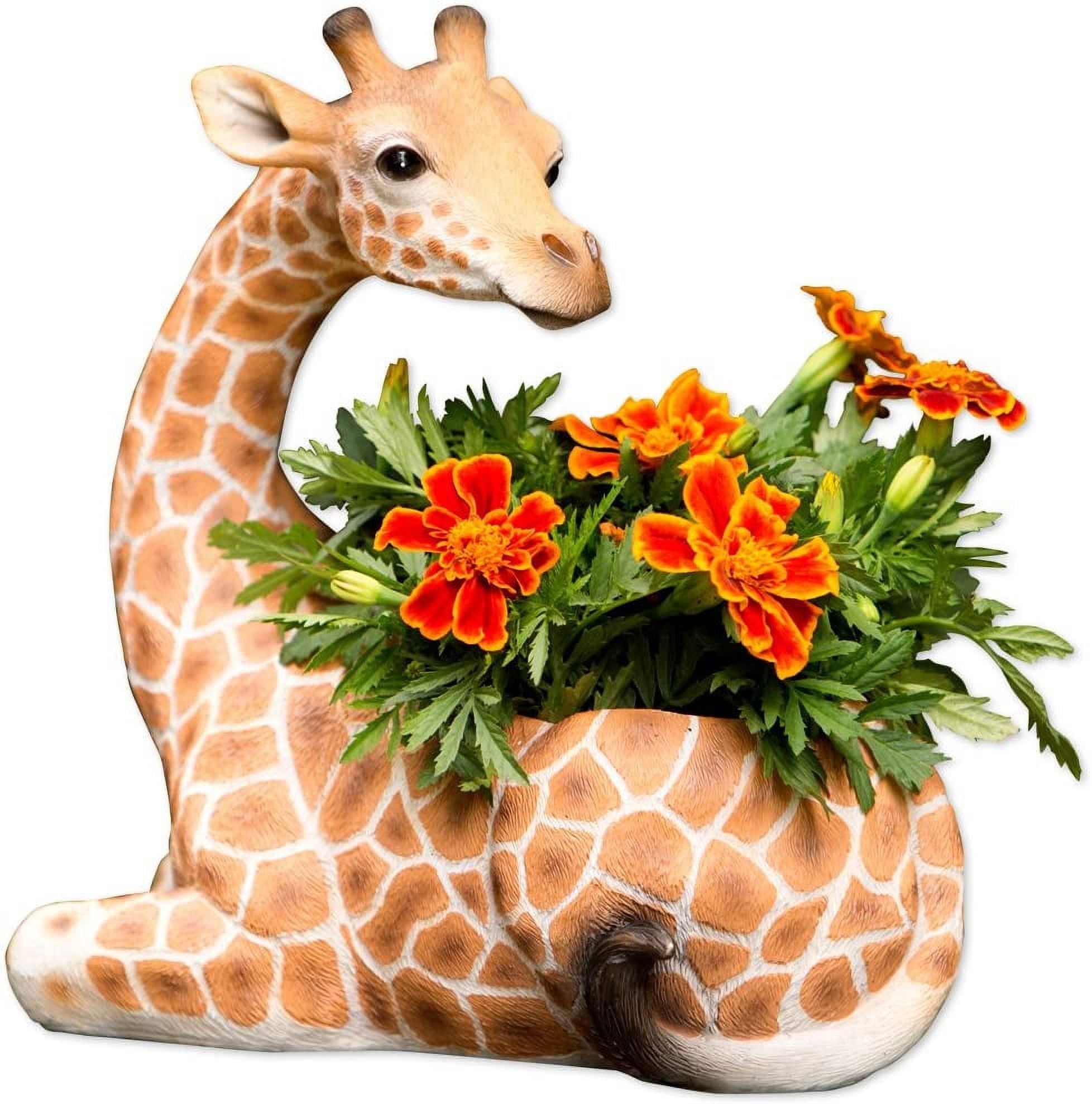 Bits and Pieces Giraffe Wildlife Safari Planter with Indoor/Outdoor Decoration