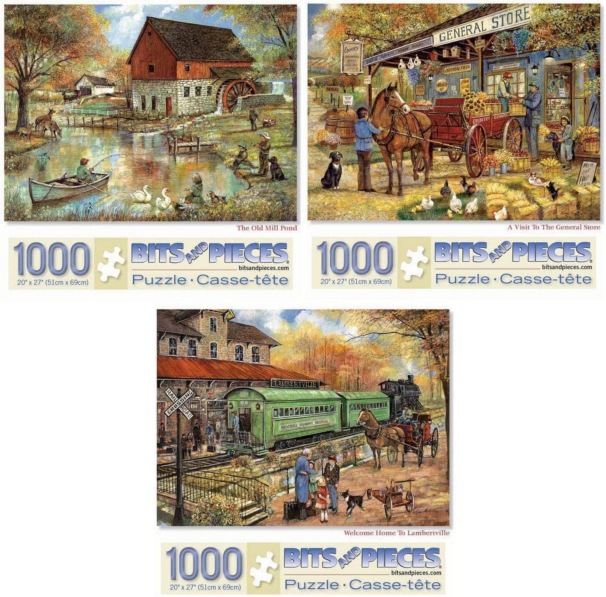 Bits And Pieces Jigsaw Puzzles Mill Pond Store by Ruane Manning 1000 Piece Set of Three 20 x 27 Inches