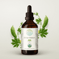 thumbnail image 1 of HerbEra Bitter Melon Tincture, Organic Herbal Dietary Supplement for Blood Sugar Support, Certified Organic Bitter Melon (Momordica charantia) Dried Fruit Extract, Natural, Alcohol-Free, Drops 4 oz, 1 of 7