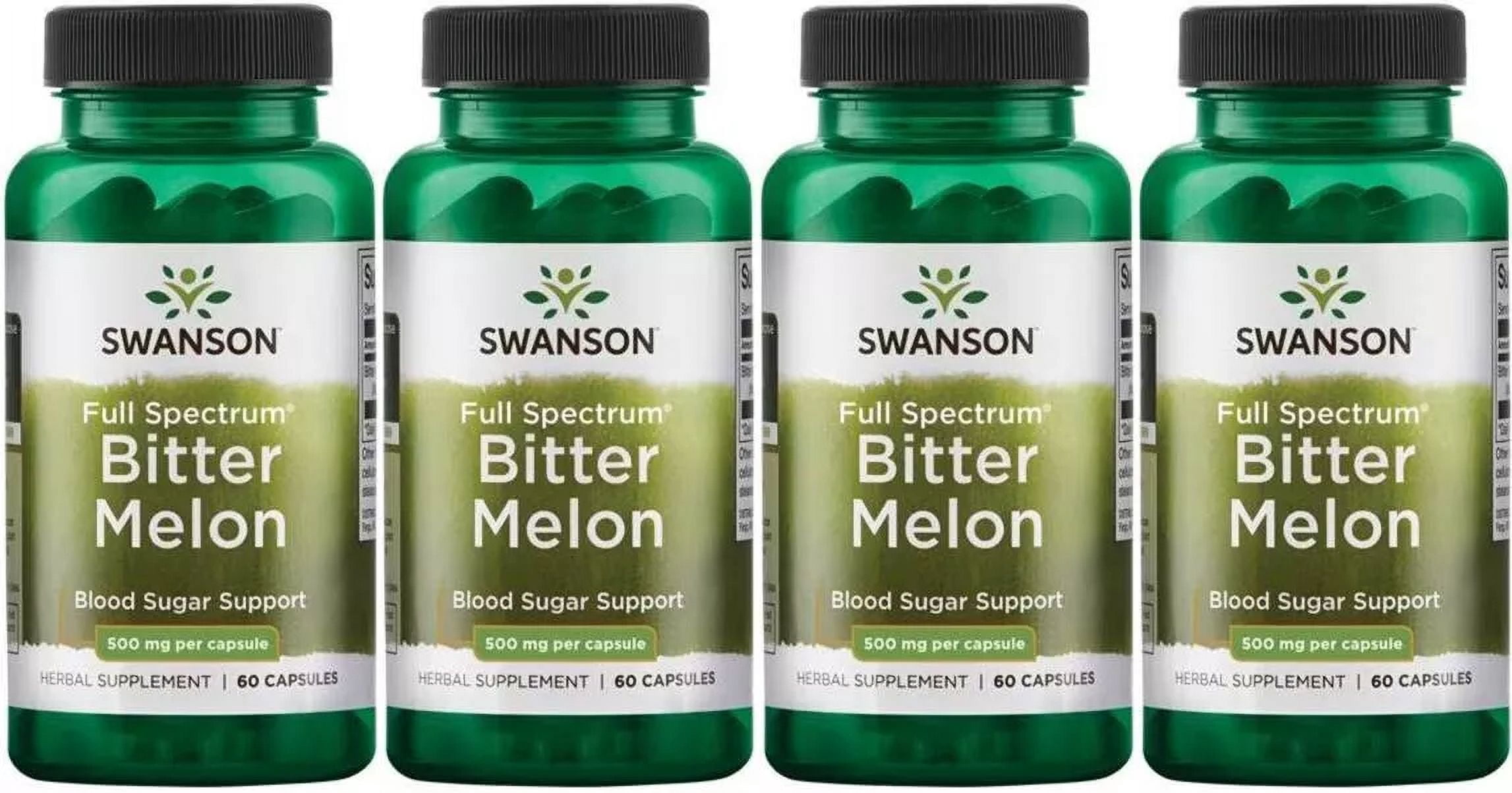 240 Caps Bitter Melon (Momordica Charantia) 500 Mg - Ayurvedic Herb Blood Sugar Support