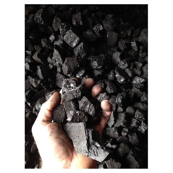 Bituminous Blacksmith Coal 50lbs - Crushed 1-3" Chunks for Forge, Stove & Furnace - High Heat Burning Coal - Direct from Manufacturer