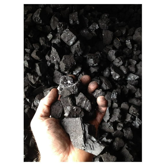 Bituminous Coal 50lbs