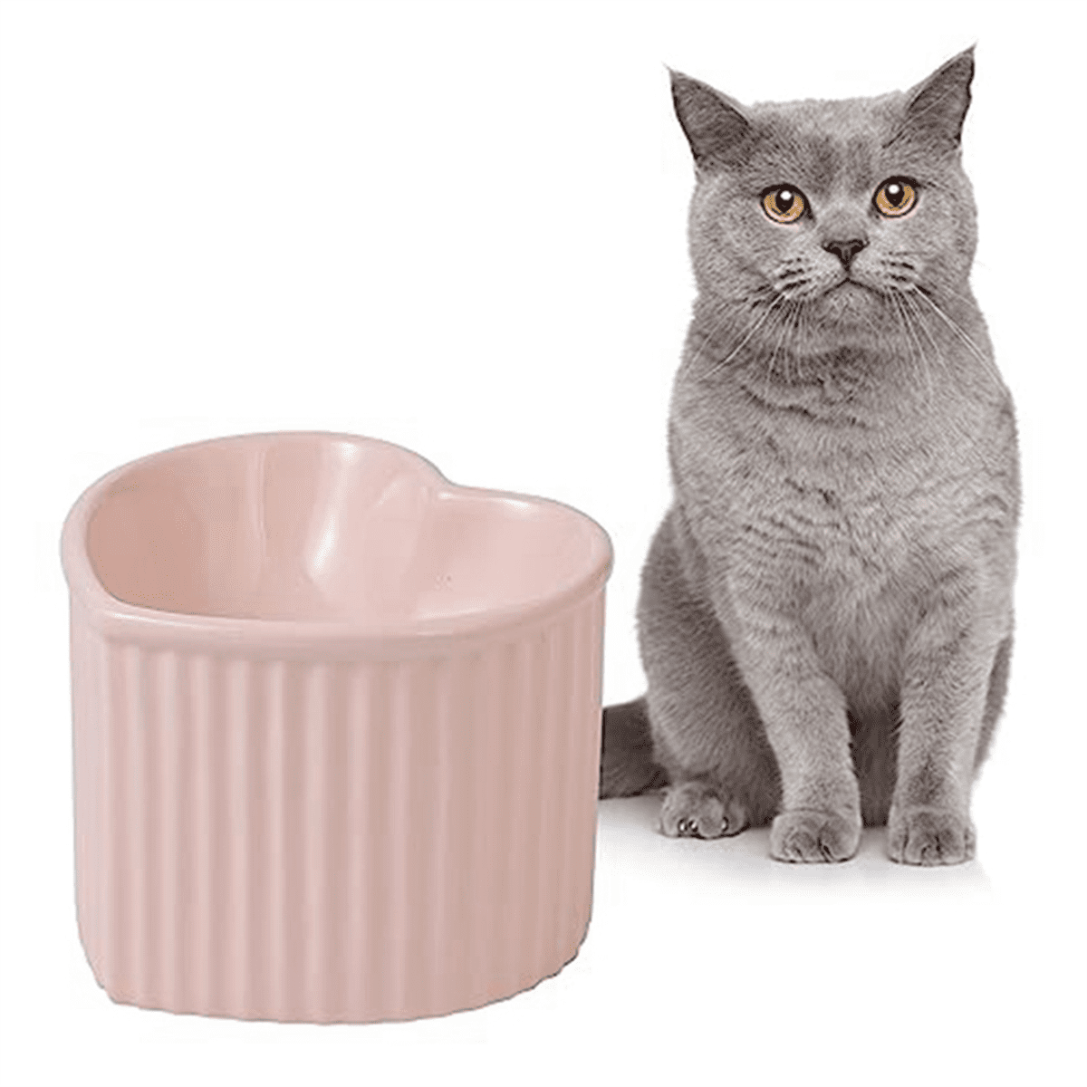 Biudunm Ceramic Raised CatBowls,Tilted Elevated Food or Water Bowls