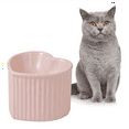 Biudunm Ceramic Raised CatBowls,Tilted Elevated Food or Water Bowls