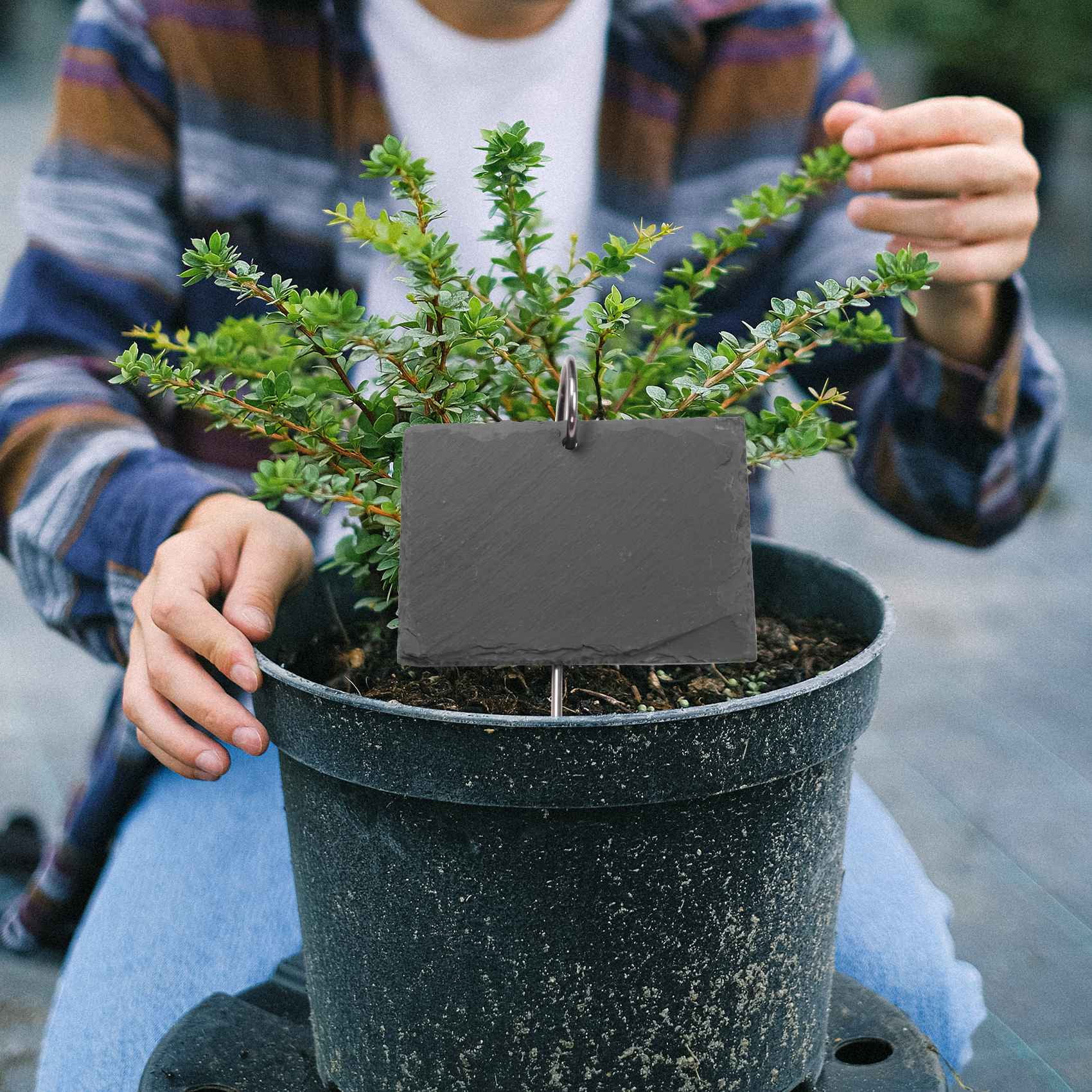 Biudunm Plant Labels Garden Plant Markers Labels Greenhouse Accessories