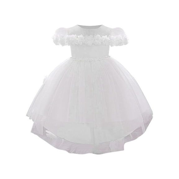 Bixock Fall and Winter Clothes,Toddler Girls Dresses,One Year Old Baby Skirt Baby Short Sleeved Sleeve Mesh Three-dimensional Flower Swallowtail Skirt Princess Skirt Bow Dress