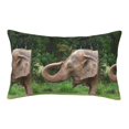 thumbnail image 1 of Bixox Asia Elephant Printed Pillow Protector,Super Soft Ideal for Home,Guests,Rentals - 20"x30", 1 of 8