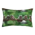 thumbnail image 1 of Bixox Australian White Tree Frog Printed Pillow Protector,Super Soft Ideal for Home,Guests,Rentals - 16"x24", 1 of 8