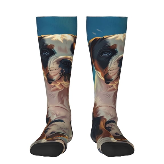 Bixox Colorful Sky Puppy Patterned Men's and Women's Knee Socks High Socks Outdoor Sports Socks