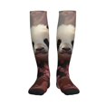 thumbnail image 1 of Bixox Cute Cloud Panda Print Compression Socks,Compression Socks Women & Men Circulation for Medical,Running,Athletic, 1 of 7