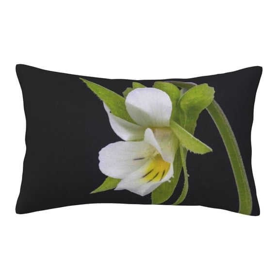 Bixox Field Pansy Printed Pillow Protector,Super Soft Ideal for Home,Guests,Rentals - 16"x24"