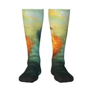 Bixox Red And Blue Fire Peacock Patterned Men's and Women's Knee Socks High Socks Outdoor Sports Socks
