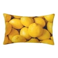 thumbnail image 1 of Bixox Ripe Yellow Lemon Printed Pillow Protector,Super Soft Ideal for Home,Guests,Rentals - 16"x24", 1 of 8