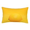 thumbnail image 1 of Bixox Yellow Lemon Printed Pillow Protector,Super Soft Ideal for Home,Guests,Rentals - 14"x20", 1 of 8