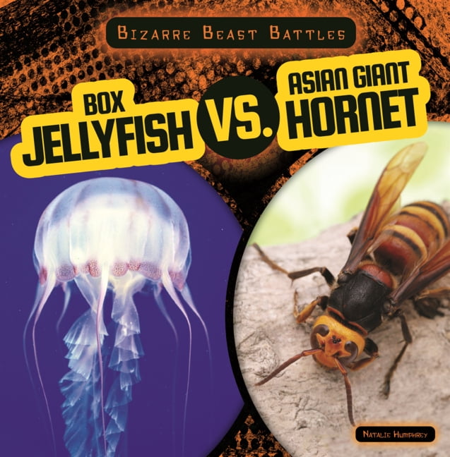 Bizarre Beast Battles Box Jellyfish vs. Asian Giant Hornet, (Hardcover)