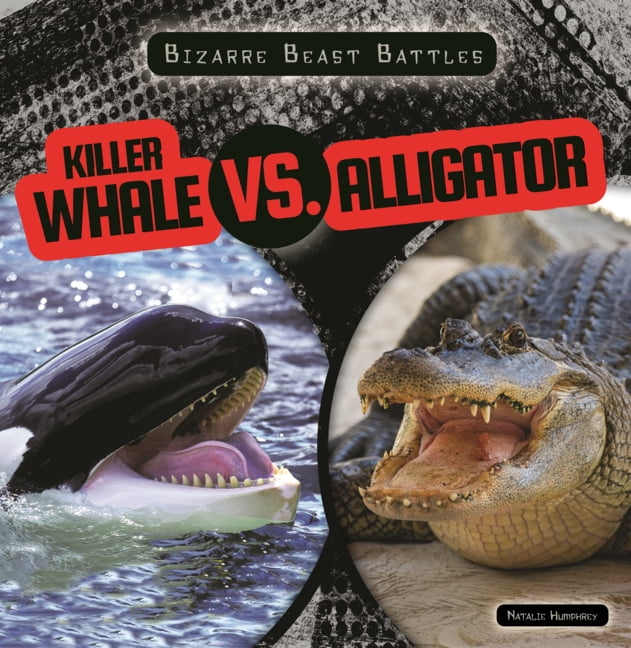 Bizarre Beast Battles Killer Whale vs. Alligator, (Hardcover)