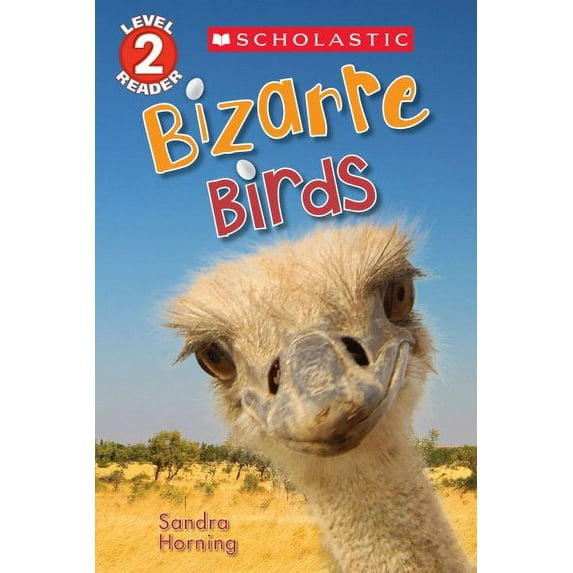 Bizarre Birds