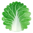thumbnail image 1 of Bizhua Fun Cabbage Blanket 150*150Cmfunny Nap Blanket Cabbage Blanket Cute Baby Quilt Air Conditioning Blanketes office Single Burritoes Blanket, 1 of 9