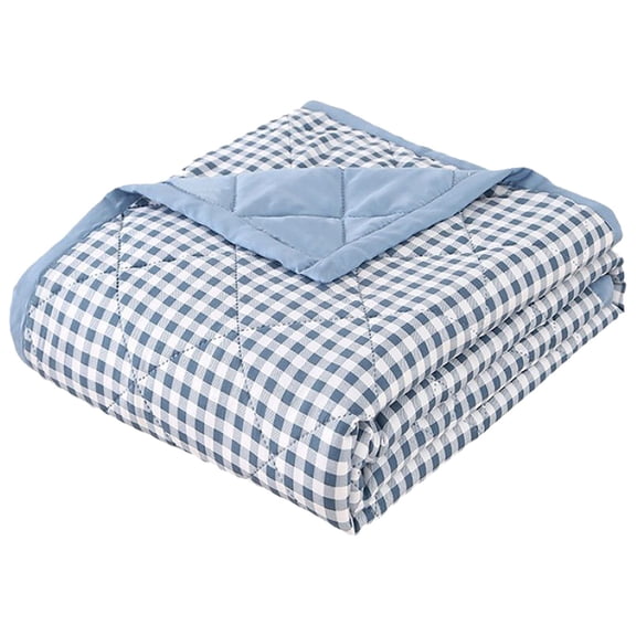 Bizhua Mother and Baby Ice Silk Quilt Anti-Sweating Quilt (100*150Cm) Ac Aice Blanket for All Season Lightweight Summer Cooler Quilt for Hot Sleepers