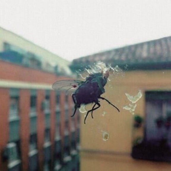 Biznaga - Gran Pantalla - Music & Performance - Vinyl