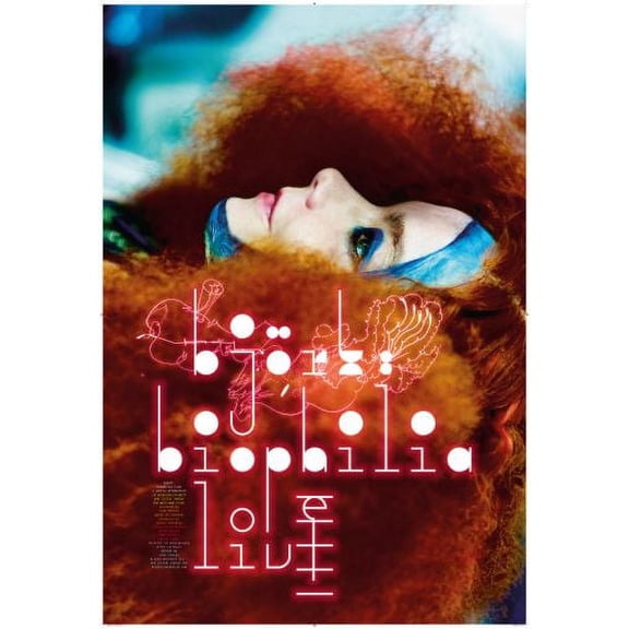 Bjork Poster 24Inx36In Poster Entertainment Decor Art Poster 24x36 Unframed, Age: Adults, Rectangle Best Posters