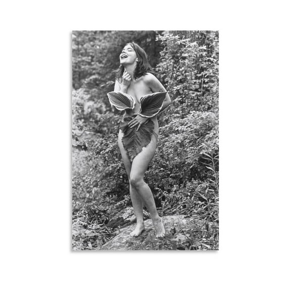 Bjork Vintage Photo Bedroom Decoration Canvas Poster