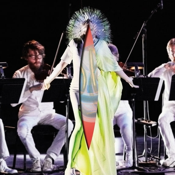 Bjork - Vulnicura Strings - Rock - Vinyl