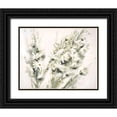 thumbnail image 1 of Bjorkland, George 14x12 Black Ornate Wood Framed with Double Matting Museum Art Print Titled - Daisy Spray, 1 of 4