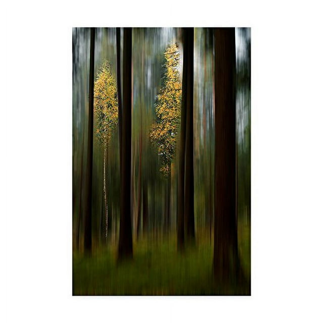 Bjorn Emanuelson 'Autumn Leaves Yellow' Canvas Art