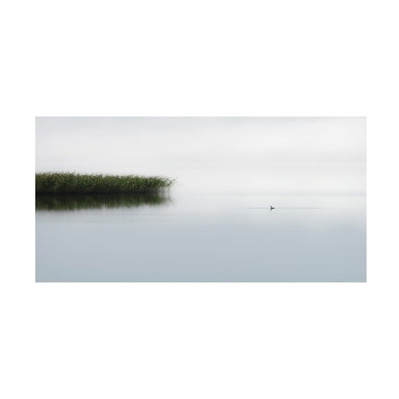 Bjorn Emanuelson 'The Lone Fisher' Canvas Art