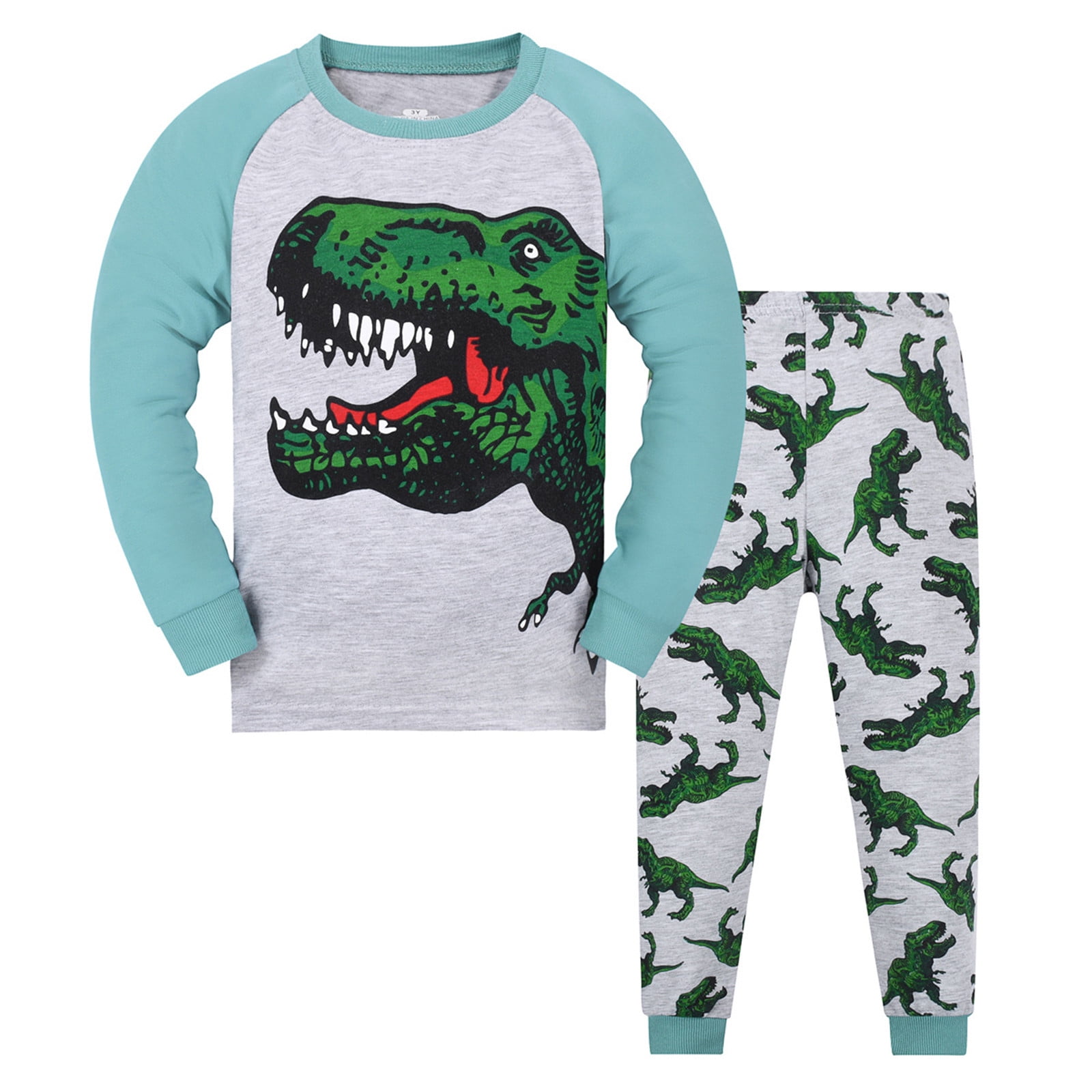 Pyjama 2 Pièces TERRARIA - Garçon - Taille 4 - Flanelle Multicolore - Occasion