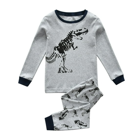Bjutir Toddler Baby Boys Pajamas Kids 2 Piece Pj'S Long Sleeve Dinosaur Sleepwear Clothes Set Outfits Light Gray Size 1-2 Years