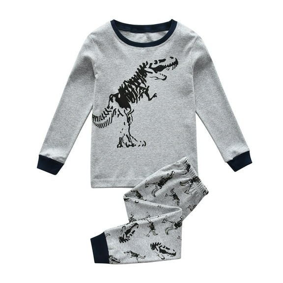 Bjutir Toddler Baby Boys Pajamas Kids 2 Piece Pj'S Long Sleeve Dinosaur Sleepwear Clothes Set Outfits Light Gray Size 5-6 Years