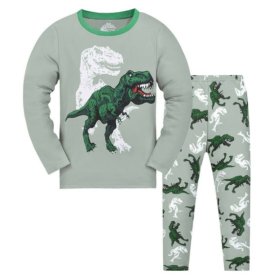 Bjutir Toddler Kids Baby Boys Girls Pajamas Cute Cartoon Dinosaur Print Long Sleeve Top Trousers Outfits Set Light Green Size 2-3 Years