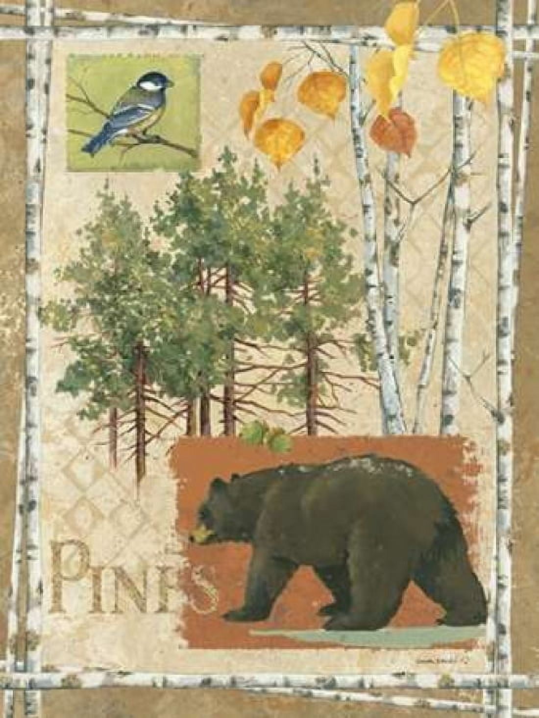 Bl Bear Pines Canvas Art - Anita Phillips (22 x 28)