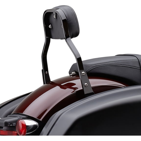 Black 11 in. Mini Detachable Backrest Kit
