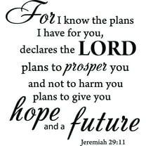 Black 15" x14" Decaltor for I Know The Plans I Have for You declares The Lord Jeremiah 29:11 Quotes Sayings Words Art Decor Lettering Vinyl Wall Art Inspirational Uplifting Bible