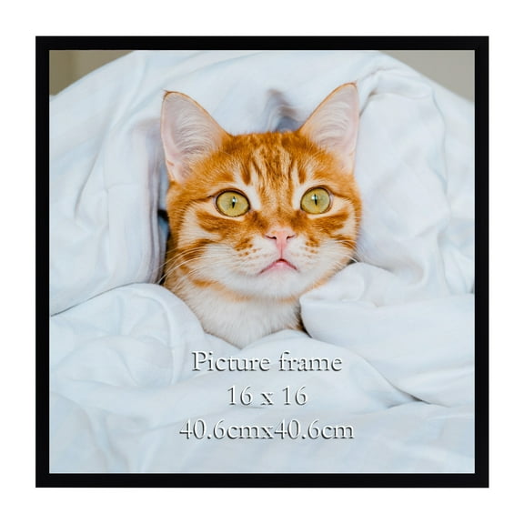 Black 16x16 Poster Frame, Large 16 x 16 Picture Frames for Wall Portrait Landscape Display