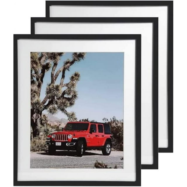 Black 20x24 Inches Picture Frames matted to 16x20 Inches Photos