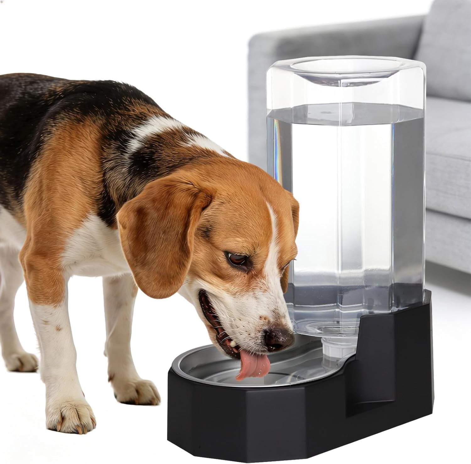 Black 8L Gravity Dog Water Dispenser - Fewer Refills for Multi-Pet Homes, No Power Needed, Spill-Proof, Easy Refill & Maintenance, with Stainless Steel Bowl, for Large Dogs, for Garage/Patio