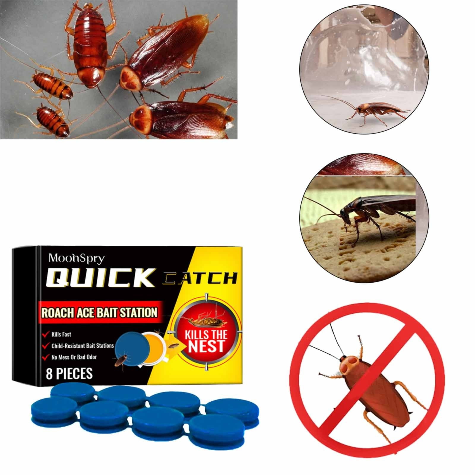 Black AND Friday deals today 2024!Pest ControlCockroach Cockroach