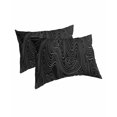 thumbnail image 1 of Black Abstract Pillow Covers Standard Size 2 Pack, Modern Geometric Minimalist Stripes Soft Bed Throw Pillowcases Breathable Cooling Long Lumbar Body Pillow Sham Cover for Bed Sofa 20''x26'', 1 of 7